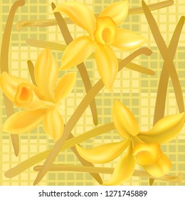 Realistic vector Vanilla flowers - Vector