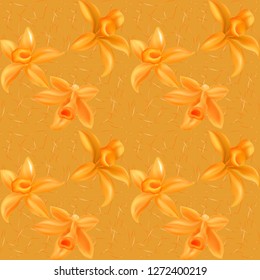 Realistic vector Vanilla flowers - Vector