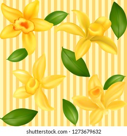 Realistic vector Vanilla flowers - Vector