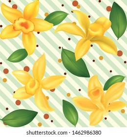 Realistic vector Vanilla flowers - Vector 
seamless