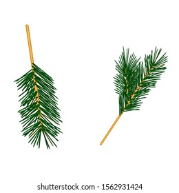Realistic vector verws of a Christmas tree or other conifer: cedar, larch. Concept: design of New Year and Christmas topics, pages, articles, blogs, sites, social networks. eps 10.