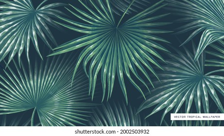 Realistic vector and volumetric background with hand-drawn giant palm leaves. Tropical wallpaper, summer theme for desktop of computer, tablet or phone screens. Social media page design, user profile 