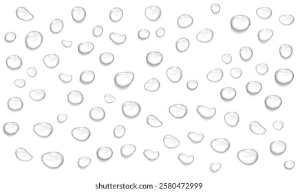 Realistic vector water drop, drops, droplets. PNG drops, condensation on glass, on various surfaces. Realistic drops on a transparent background. Rain and dew. Vector