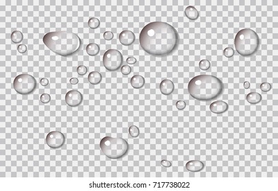 Realistic vector water droplets or dewy surface. Vector graphic on isolated transparent background. The droplets can be moved independently of each other.