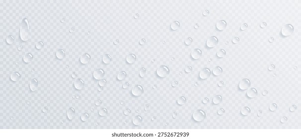 Gotas agua Vector realistas