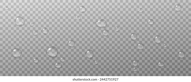 Realistic vector water drops png on a transparent light background. Water condensation on the surface with light reflection and realistic shadow. 3d vector illustration
