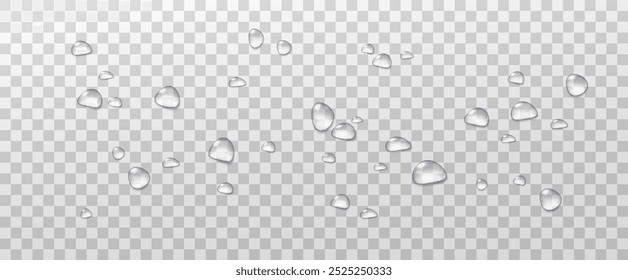 Realistic vector water drops png on a transparent light background. Water condensation on the surface with light reflection and realistic shadow. 3d vector illustration