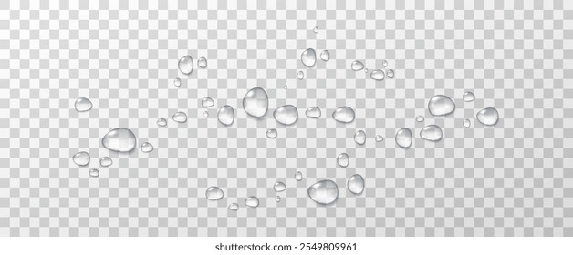 Realistic vector water drops png on a transparent light background. Water condensation on the surface with light reflection and realistic shadow. 3d vector illustration