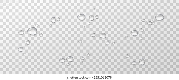 Realistic vector water drops png on a transparent light background. Water condensation on the surface with light reflection and realistic shadow. 3d vector illustration