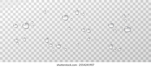 Realistic vector water drops png on a transparent light background. Water condensation on the surface with light reflection and realistic shadow. 3d vector illustration