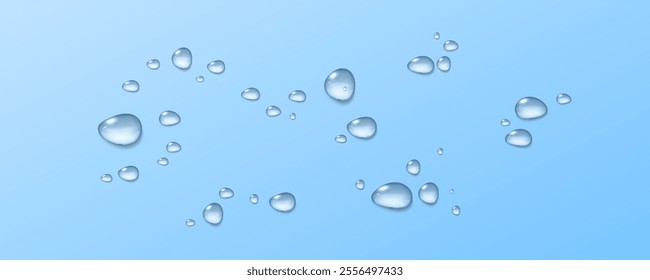 Realistic vector water drops png on a transparent light background. Water condensation on the surface with light reflection and realistic shadow. 3d vector illustration