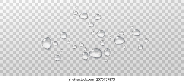 Realistic vector water drops png on a transparent light background. Water condensation on the surface with light reflection and realistic shadow. 3d vector illustration