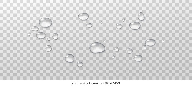 Realistic vector water drops png on a transparent light background. Water condensation on the surface with light reflection and realistic shadow. 3d vector illustration