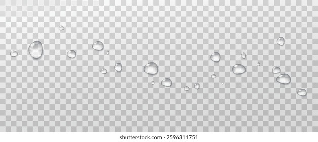 Realistic vector water drops png on a transparent light background. Water condensation on the surface with light reflection and realistic shadow. 3d vector illustration