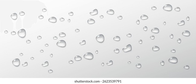 Realistic vector water drops png on a transparent light background. Water condensation on the surface with light reflection and realistic shadow. 3d vector illustration