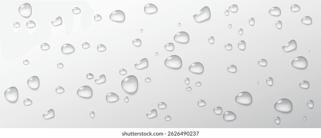 Realistic vector water drops png on a transparent light background. Water condensation on the surface with light reflection and realistic shadow. 3d vector illustration