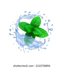 Realistic vector water splash with green peppermint leaves Fresh splashing drink with mint of mojito or lemonade. Vector.