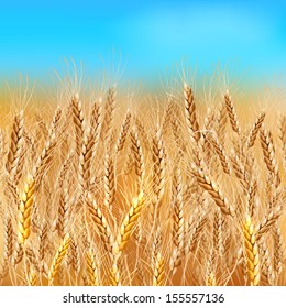 Realistic Vector Wheat Field