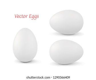 Realistic vector white 3d egg isolated on white background with different position in space. Object Design Element Set