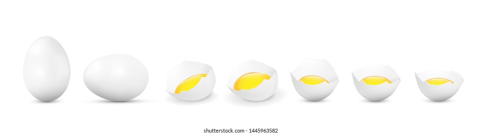 Realistic vector white eggs and broken eggs with yolk on white background