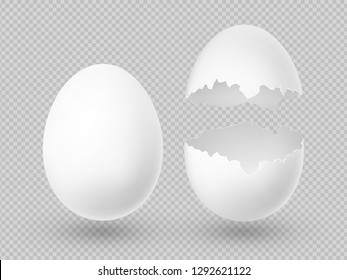 Realistic vector white eggs with whole and broken shell isolated