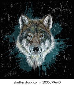 Realistic Vector Wolf - Grunge art