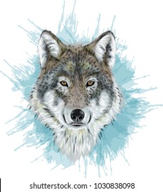 Realistic Vector Wolf - Stylized Art