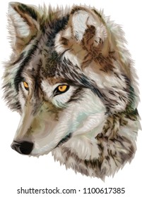Realistic Vector Wolf - Stylized art