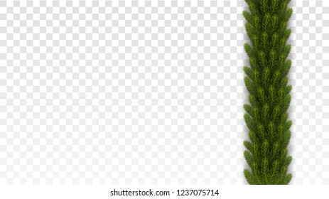 Realistic vector xmas border decoration with fir branches. Vector Christmas decoration clipart.