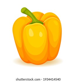 Realistic vector yellow bell pepper Paprika isolated on white background. vitamin c in bell pepper. Vector illustration. Vector illustration