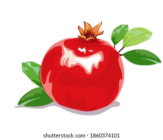 Realistic vector,Pomegramate fruit isolate with leaves on white background, hand drawing vector illustration