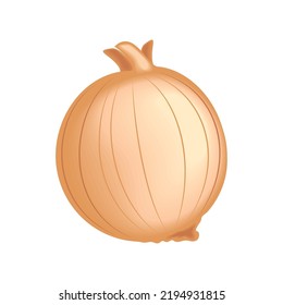 realistic vegetable onion isolated icon