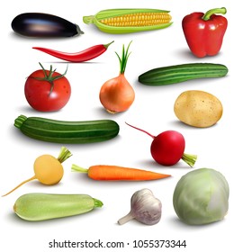 Realistic vegetables  farmer harvest tomato, pepper, onion, cucumber, garlic, eggplant, corn, chilli, potato, radish, turnip carrot cabbage zucchini marrow Vector illustration isolated on white