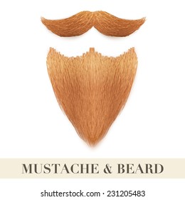 Realistic Vintage ginger beard with curly mustache. Vector Illustration isolated on a white background. 