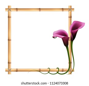 Realistic violet calla lily, bamboo frame. The symbol of Royal beauty.