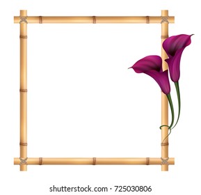 Realistic violet calla lily, bamboo frame. The symbol of Royal beauty.