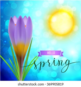 Realistic violet crocus on a sunlight background. Original handwritten text Spring. Illustration for posters, greeting cards, prints and web projects.