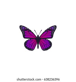 Realistic Violet Wing Element. Vector Illustration Of Realistic Purple Monarch  Isolated On Clean Background. Can Be Used As Violet, Butterfly And Purple Symbols.
