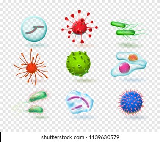 Realistic Viruses. Bacteria Germs Microorganism Virus Cell. 3d Microscopic Infection Cells Ebola Micro Germ Influenza Flu, Human Health Microbiology Science. Vector Isolated Icon Set