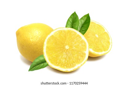 Realistic vivid juicy lemon vector mesh with transparent shadows and leaves.