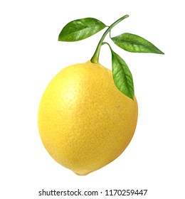 Realistic vivid juicy lemon vector mesh with transparent shadows and leaves.