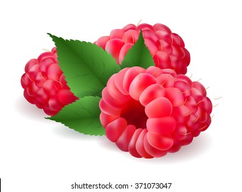 realistic volumetric 3d raspberry soft fresh tasty delicious vector illustration with leaves