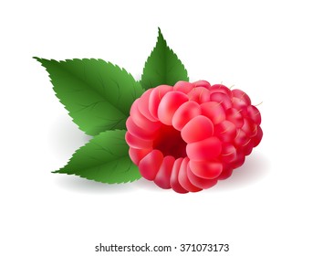 realistic volumetric 3d raspberry soft fresh tasty delicious vector illustration with leaves, web design, advertisement, commercial, banner,poster, print, sight page element