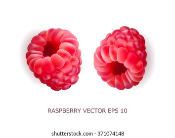 realistic volumetric 3d raspberry soft fresh tasty delicious vector illustration