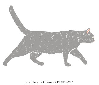 Realistic walking grey cat in profile. Vector illustration.