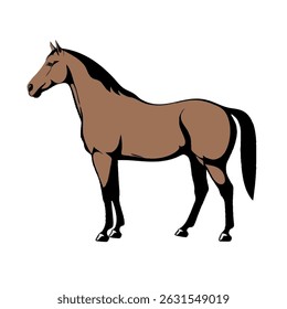Realistic Walking Horse Vector Illustration on White Background (Side Profile)