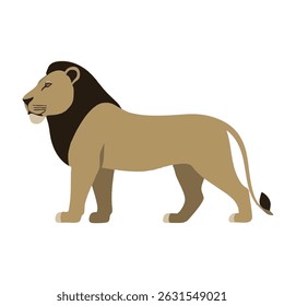 Realistic Walking Male Lion Vector Illustration on White Background (Side Profile)