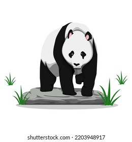 realistic walking panda illustration. animal design vector