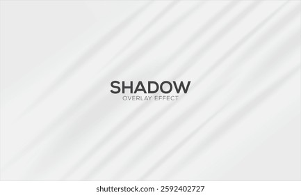 Realistic wall with gobo shadow. Window frame and blinds shadows cast on white studio background, lightning effect overlay vector set, shadow overlay effect and natural lightning, natural lighting 