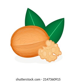 Nuez realista aislada en fondo blanco, ilustración vectorial. Núcleo de nogal roto, impresión de empaque